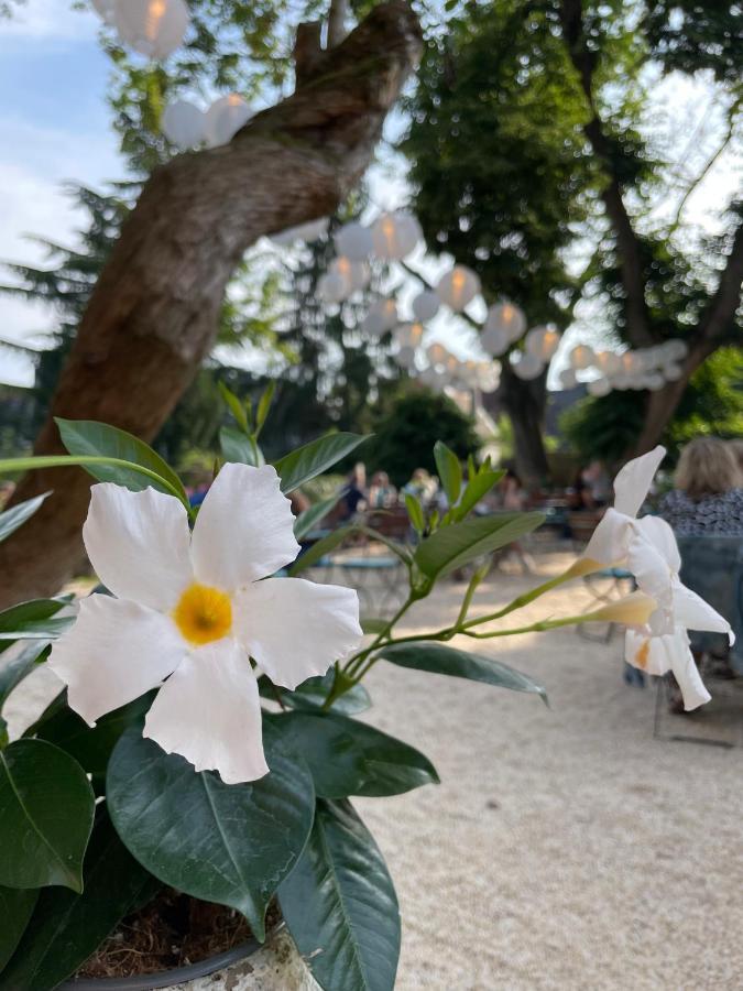 Weinhotel Koegler Eltville am Rhein Dış mekan fotoğraf