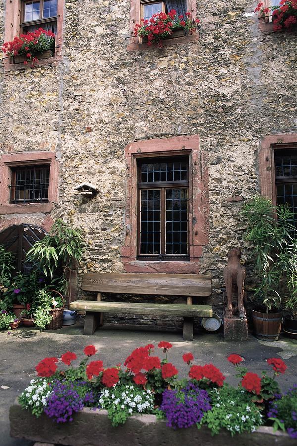 Weinhotel Koegler Eltville am Rhein Dış mekan fotoğraf